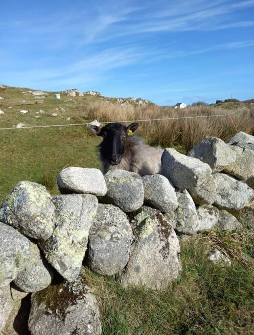 Radharc An Chuain 2 Bedroom Holiday Home Galway Eksteriør billede